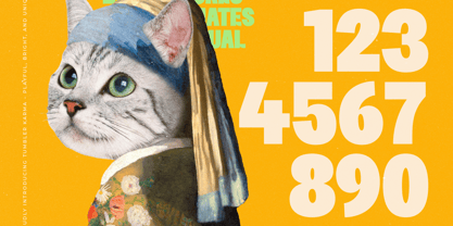 Tumbler Karma Font Poster 13