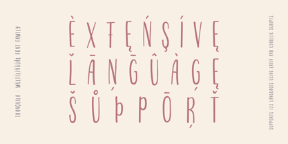 Tranquila Font Poster 10