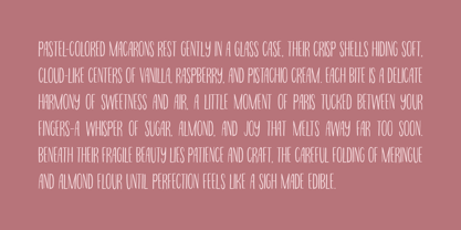 Tranquila Font Poster 14