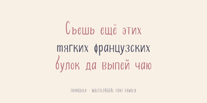 Tranquila Font Poster 11