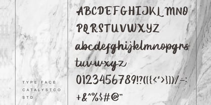 Lenory Font Poster 2