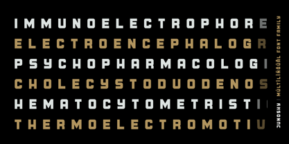 Junosky Font Poster 11
