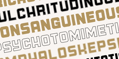 Junosky Font Poster 2