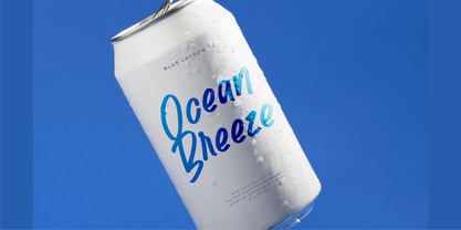 Pontipect Maxims Font Poster 6