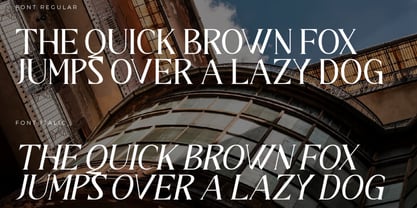 Darifty Font Poster 9