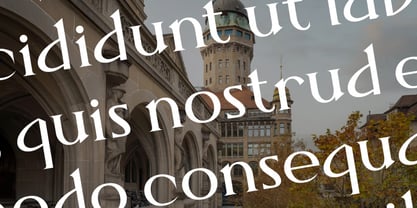 Darifty Font Poster 4