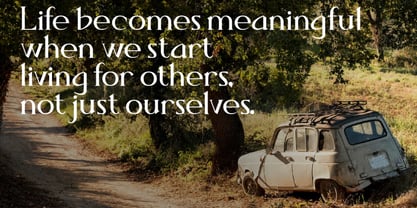 Darifty Font Poster 13