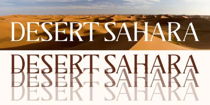 Darifty Font Poster 3