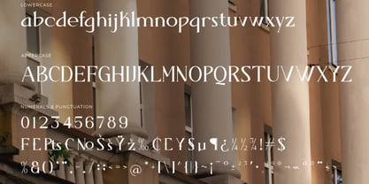 Darifty Font Poster 11