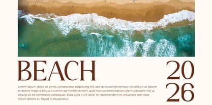 Darifty Font Poster 14