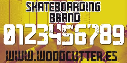 Skateboarding Brand Font Poster 6