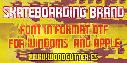 Skateboarding Brand Font Poster 3