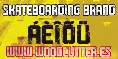 Skateboarding Brand Font Poster 4