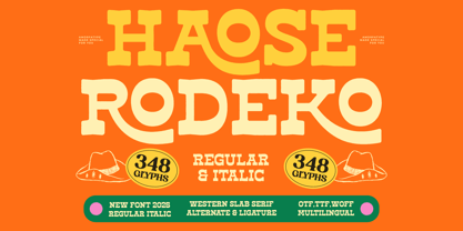 Haose Rodeko Font Poster 1