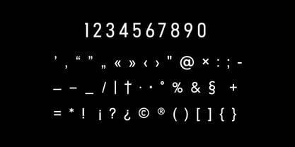 Neuromax Font Poster 9