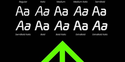 Neuromax Font Poster 8