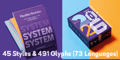 Flexibel Modular Font Poster 5