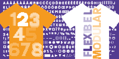 Flexibel Modular Font Poster 6