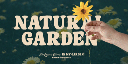 Natural Mistic Font Poster 7