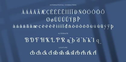 Palmdol Font Poster 13