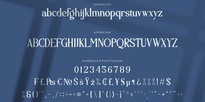 Palmdol Font Poster 14