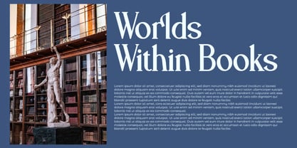 Palmdol Font Poster 7