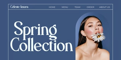 Palmdol Font Poster 4