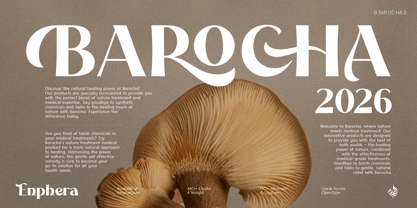 Al Enphera Font Poster 3