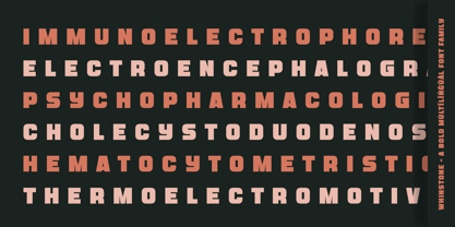 Whinstone Font Poster 4