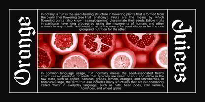 Gofarda Gothic Font Poster 6