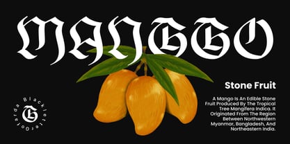 Gofarda Gothic Font Poster 11