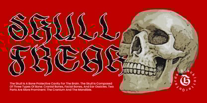 Gofarda Gothic Font Poster 10