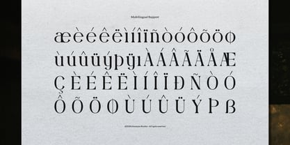 Rubington Font Poster 11