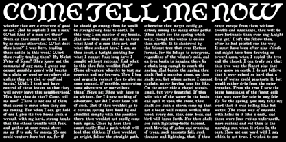 An Corp Font Poster 8