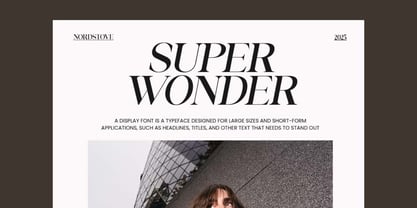 Business Elegance Font Poster 4