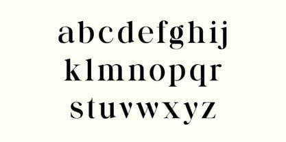 Business Elegance Font Poster 5