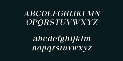 Business Elegance Font Poster 11