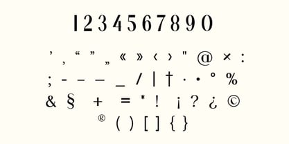 Business Elegance Font Poster 8