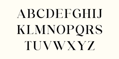 Business Elegance Font Poster 6