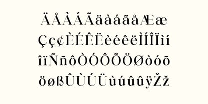 Business Elegance Font Poster 7