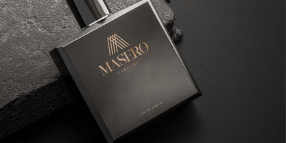 Business Elegance Font Poster 9