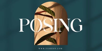 Business Elegance Font Poster 12