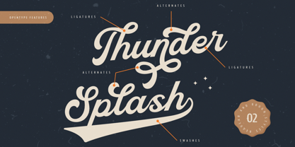 Thankfull Font Poster 8