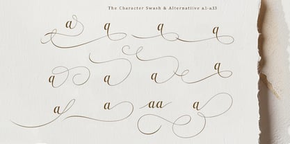 Zalhiga Font Poster 11