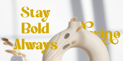 Alerino Font Poster 10