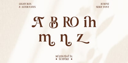 Aurine Font Poster 3