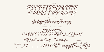 Nickitasha Bardovilly Font Poster 7