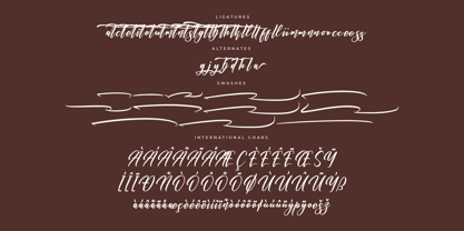 Nickitasha Bardovilly Font Poster 8