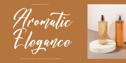 Nickitasha Bardovilly Font Poster 6