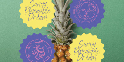 Chill Fresh Font Poster 12